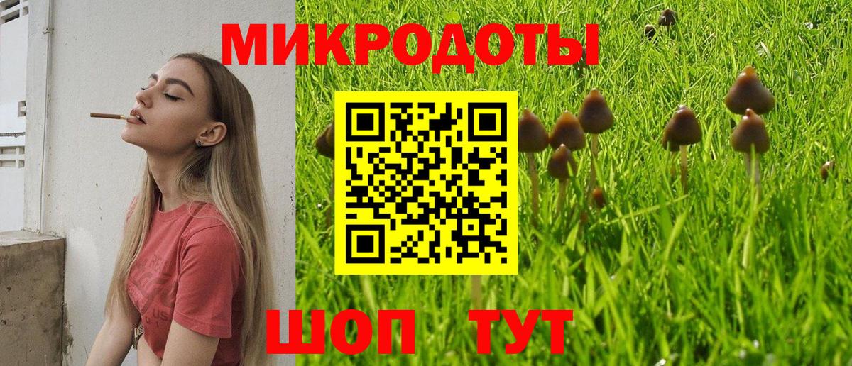 Галлюциногенные грибы GOLDEN TEACHER  Псилоцибиновые грибы GOLDEN TEACHER  Вход с VPN  Прохладный 
