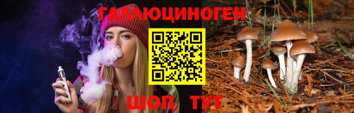Псилоцибиновые грибы Psilocybine cubensis Прохладный
